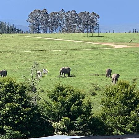 Elephant View Homestead Плеттенберг-Бей Экстерьер фото