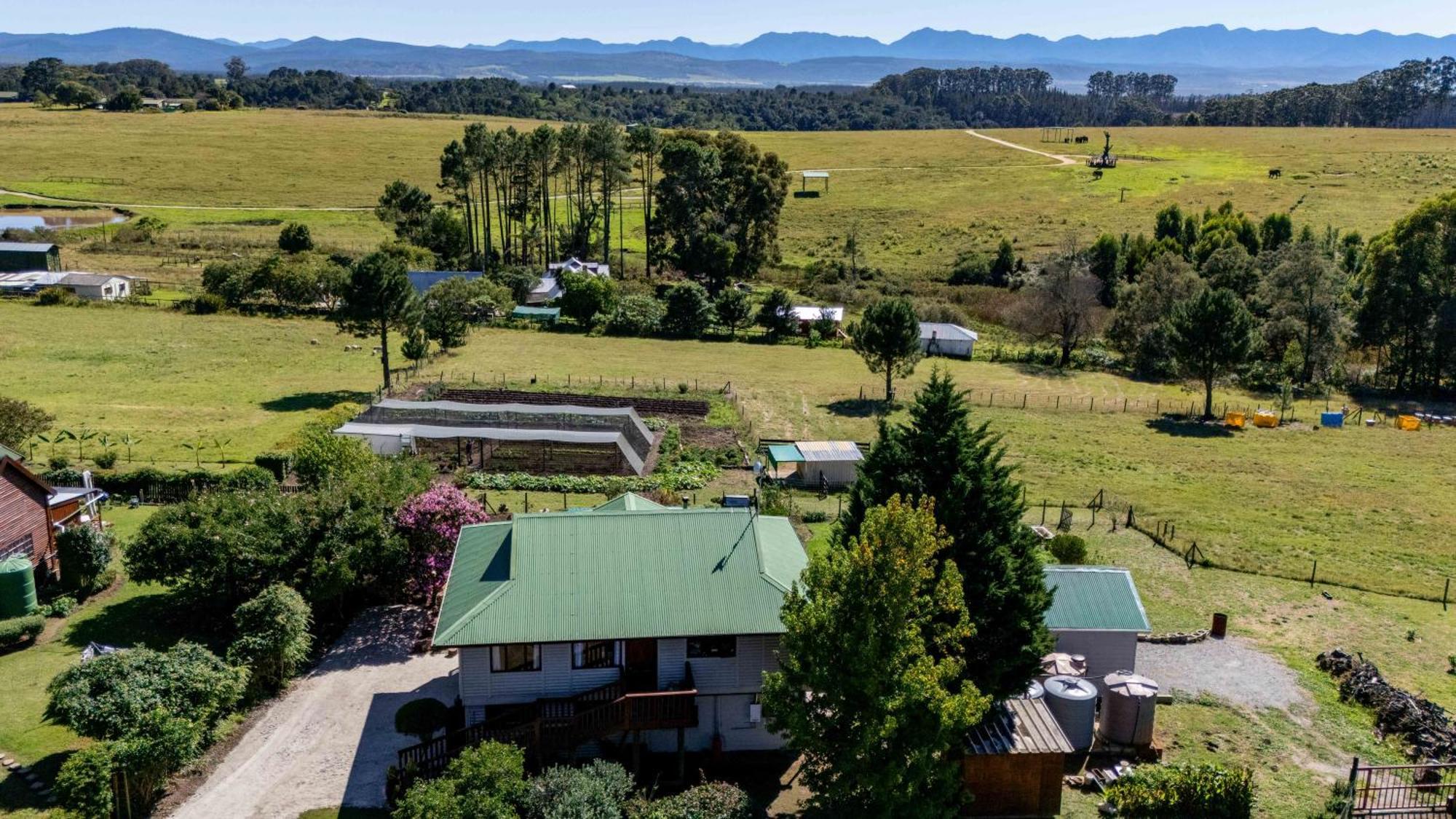 Elephant View Homestead Плеттенберг-Бей Экстерьер фото